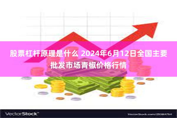 股票杠杆原理是什么 2024年6月12日全国主要批发市场青椒价格行情