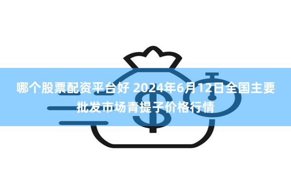 哪个股票配资平台好 2024年6月12日全国主要批发市场青提子价格行情