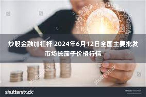 炒股金融加杠杆 2024年6月12日全国主要批发市场长茄子价格行情