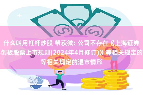 什么叫用杠杆炒股 希荻微: 公司不存在《上海证券交易所科创板股票上市规则(2024年4月修订)》等相关规定的退市情形