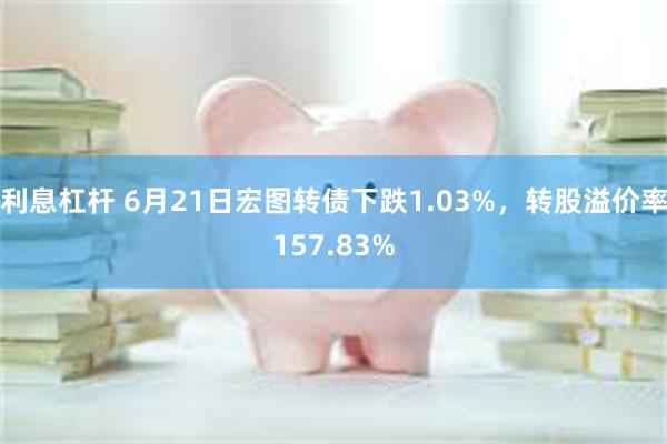 利息杠杆 6月21日宏图转债下跌1.03%，转股溢价率157.83%