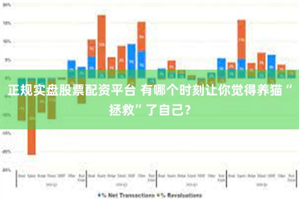 正规实盘股票配资平台 有哪个时刻让你觉得养猫“拯救”了自己？