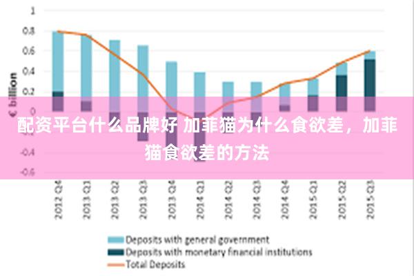 配资平台什么品牌好 加菲猫为什么食欲差，加菲猫食欲差的方法