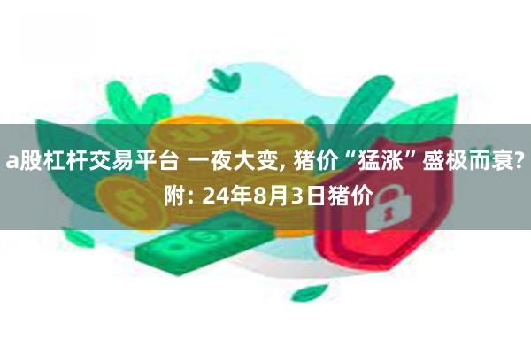 a股杠杆交易平台 一夜大变, 猪价“猛涨”盛极而衰? 附: 24年8月3日猪价