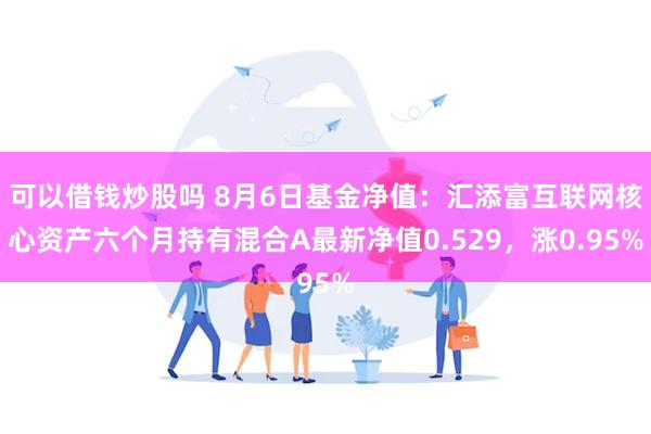 可以借钱炒股吗 8月6日基金净值：汇添富互联网核心资产六个月持有混合A最新净值0.529，涨0.95%