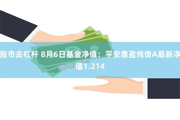 股市去杠杆 8月6日基金净值：平安惠盈纯债A最新净值1.214