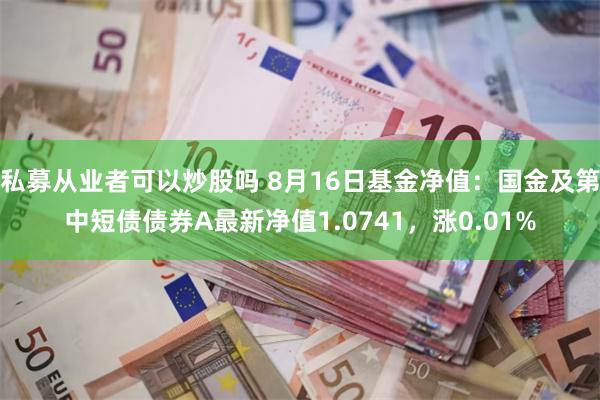 私募从业者可以炒股吗 8月16日基金净值：国金及第中短债债券A最新净值1.0741，涨0.01%