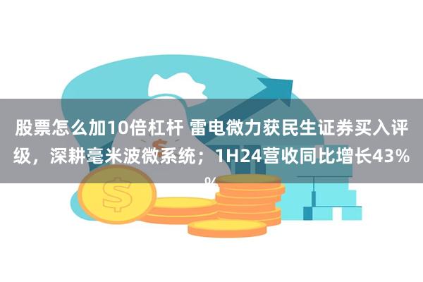 股票怎么加10倍杠杆 雷电微力获民生证券买入评级，深耕毫米波微系统；1H24营收同比增长43%