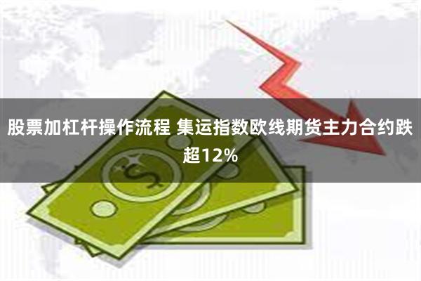 股票加杠杆操作流程 集运指数欧线期货主力合约跌超12%