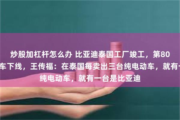 炒股加杠杆怎么办 比亚迪泰国工厂竣工，第800万辆新能源车下线，王传福：在泰国每卖出三台纯电动车，就有一台是比亚迪