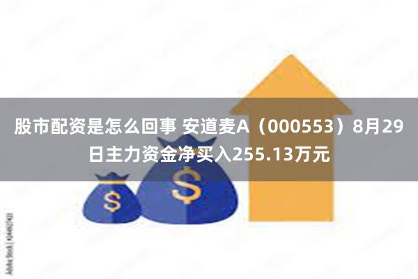 股市配资是怎么回事 安道麦A（000553）8月29日主力资金净买入255.13万元