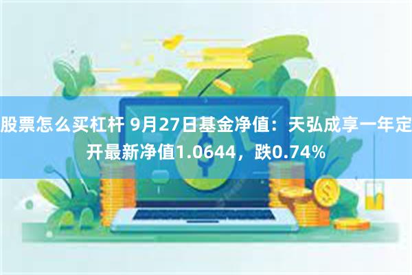 股票怎么买杠杆 9月27日基金净值：天弘成享一年定开最新净值1.0644，跌0.74%