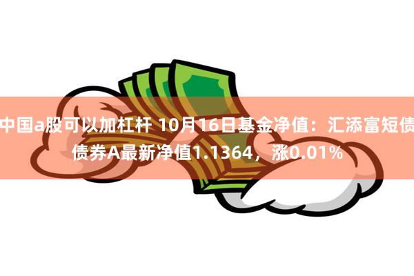 中国a股可以加杠杆 10月16日基金净值：汇添富短债债券A最新净值1.1364，涨0.01%