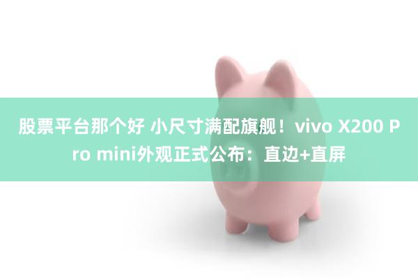 股票平台那个好 小尺寸满配旗舰！vivo X200 Pro mini外观正式公布：直边+直屏