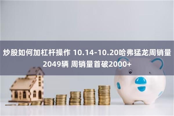 炒股如何加杠杆操作 10.14-10.20哈弗猛龙周销量2049辆 周销量首破2000+