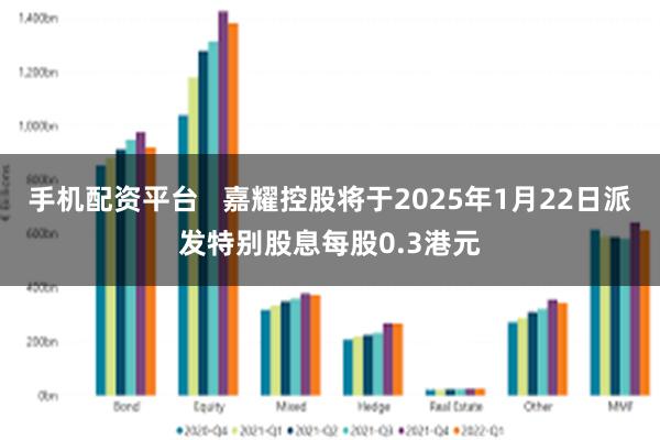 手机配资平台   嘉耀控股将于2025年1月22日派发特别股息每股0.3港元