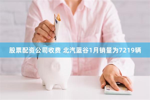 股票配资公司收费 北汽蓝谷1月销量为7219辆